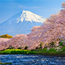 日本